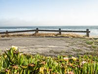 an empty bench sitting next to a fence and beach with plants growing out of the sand