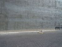 an empty bench outside of a concrete building with a red brick walkway behind it and a gray wall