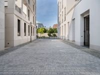 an empty street with cobblestones and buildings on it is near some bushes and trees