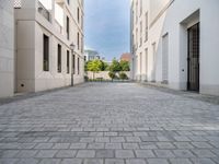 an empty street with cobblestones and buildings on it is near some bushes and trees