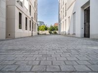 an empty street with cobblestones and buildings on it is near some bushes and trees