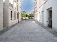 an empty street with cobblestones and buildings on it is near some bushes and trees