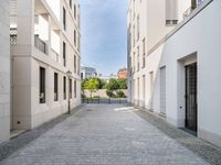 an empty street with cobblestones and buildings on it is near some bushes and trees