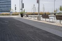 the empty brick path has several plants and two benches near by it with the building behind them