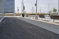 the empty brick path has several plants and two benches near by it with the building behind them