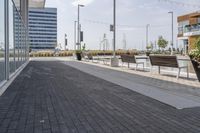 the empty brick path has several plants and two benches near by it with the building behind them