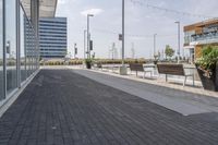 the empty brick path has several plants and two benches near by it with the building behind them