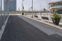 the empty brick path has several plants and two benches near by it with the building behind them