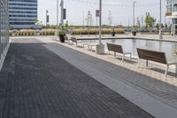 the empty brick path has several plants and two benches near by it with the building behind them