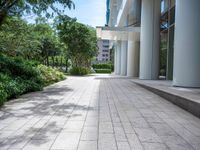 an empty brick sidewalk in front of an office building and landscaping area with trees lining the side