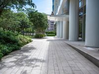 an empty brick sidewalk in front of an office building and landscaping area with trees lining the side