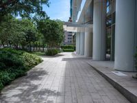 an empty brick sidewalk in front of an office building and landscaping area with trees lining the side