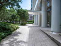 an empty brick sidewalk in front of an office building and landscaping area with trees lining the side