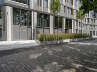 an empty bricked path in front of a building near some trees and bushes with large windows