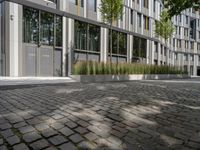 an empty bricked path in front of a building near some trees and bushes with large windows