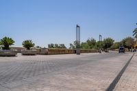 empty bricked sidewalk with palm trees and benches in it under a blue sky at an outdoor park