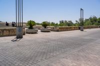 empty bricked sidewalk with palm trees and benches in it under a blue sky at an outdoor park