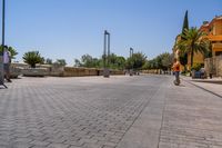 empty bricked sidewalk with palm trees and benches in it under a blue sky at an outdoor park