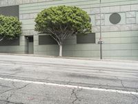 the city sidewalk is empty as you walk down the street, with three trees in front