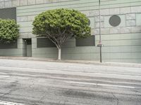 the city sidewalk is empty as you walk down the street, with three trees in front