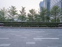 an empty city square with several plants on the fence, with two trees in front