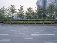 an empty city square with several plants on the fence, with two trees in front