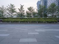 an empty city square with several plants on the fence, with two trees in front