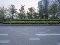 an empty city square with several plants on the fence, with two trees in front