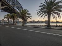 an empty city street and an empty bridge next to water and palm trees at sunset