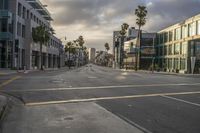 an empty city street with palm trees lining both sides of the street and multiple windows