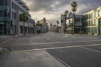 an empty city street with palm trees lining both sides of the street and multiple windows