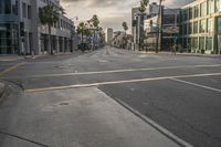 an empty city street with palm trees lining both sides of the street and multiple windows