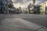 an empty city street with palm trees lining both sides of the street and multiple windows