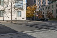 empty street in city next to tall buildings and tree shadows and buildings with no leaves