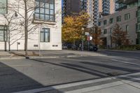 empty street in city next to tall buildings and tree shadows and buildings with no leaves