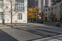 empty street in city next to tall buildings and tree shadows and buildings with no leaves