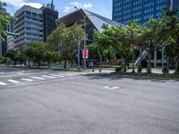 an empty city street has trees and tall buildings in the distance and a red fire hydrant in the middle of the street