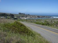 there is an empty paved road by the ocean with grass and bushes in the foreground