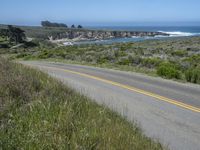 there is an empty paved road by the ocean with grass and bushes in the foreground