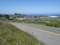 there is an empty paved road by the ocean with grass and bushes in the foreground