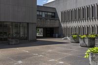 the concrete planters are empty outside of the building, surrounded by flowers and buildings