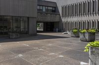 the concrete planters are empty outside of the building, surrounded by flowers and buildings