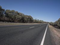 there is a empty country highway, surrounded by many trees and bushes in the foreground