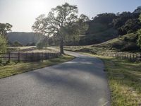 an empty country road with a fence on the side and some grass and trees to the side