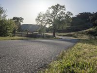 an empty country road with a fence on the side and some grass and trees to the side