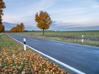 an empty country road with leafy autumn leaves, as a car drives in the distance