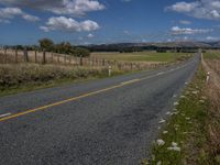 an empty country road and a couple of white horses grazing along side it and on each side, trees and grass, with mountains behind