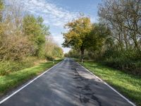 an empty country road in an open area with trees, grass and shrubs on either side