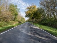 an empty country road in an open area with trees, grass and shrubs on either side