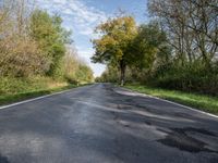 an empty country road in an open area with trees, grass and shrubs on either side